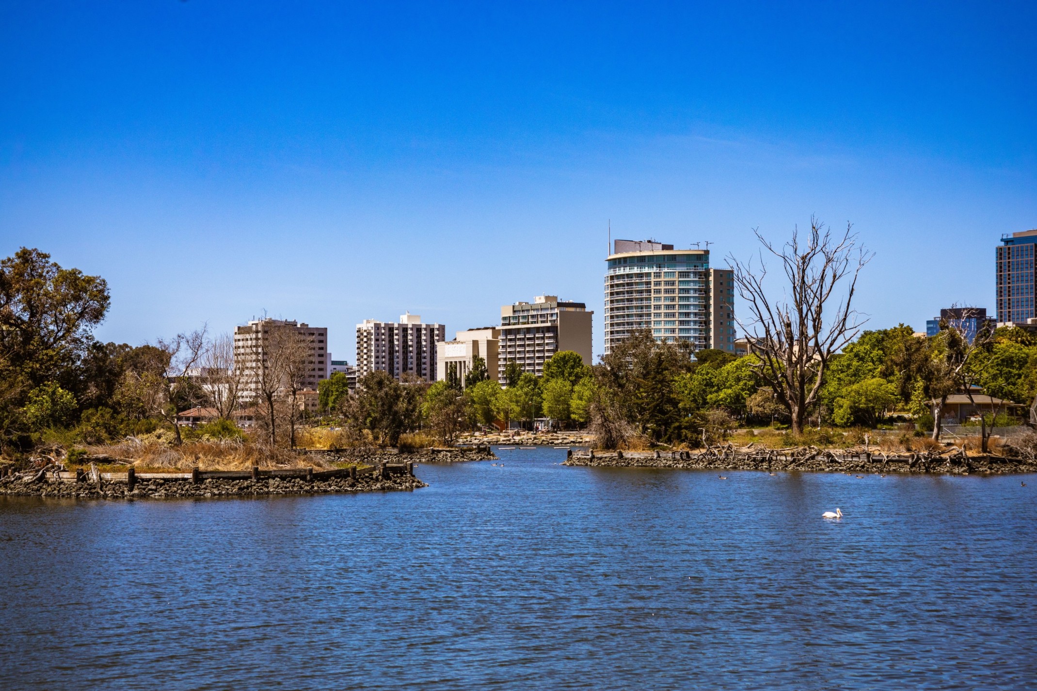 Living in Canberra
