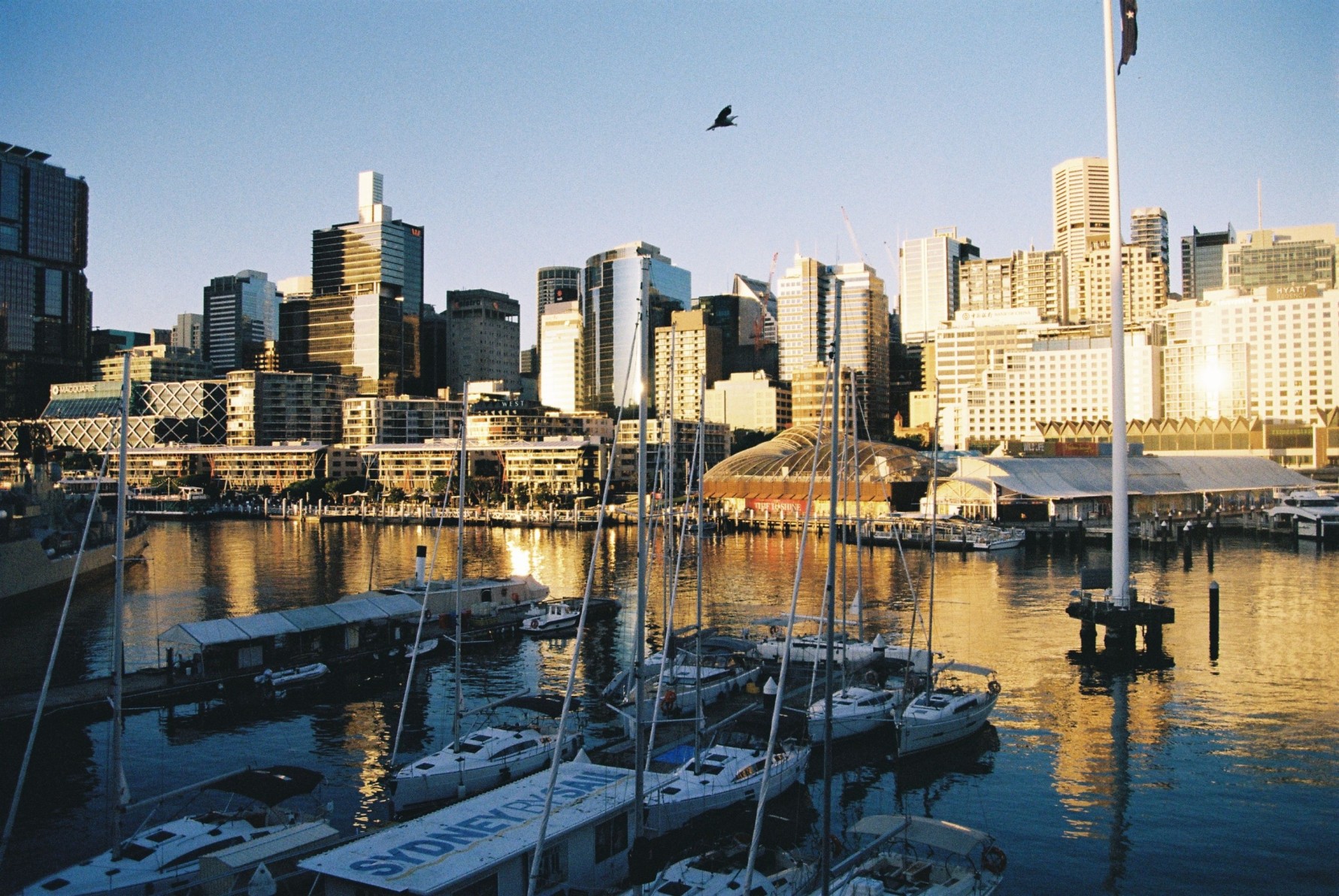 Moving to Sydney